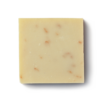 Citrus Botanical Soap